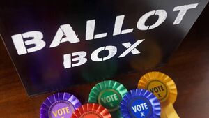 Council boss fields criticism over flaws in electoral register