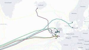 Ireland's subsea cables and gas pipelines 'very vulnerable' amid 'non-existent maritime security' Ireland's subsea cables and gas pipelines 'very vulnerable' amid 'non-existent maritime security'