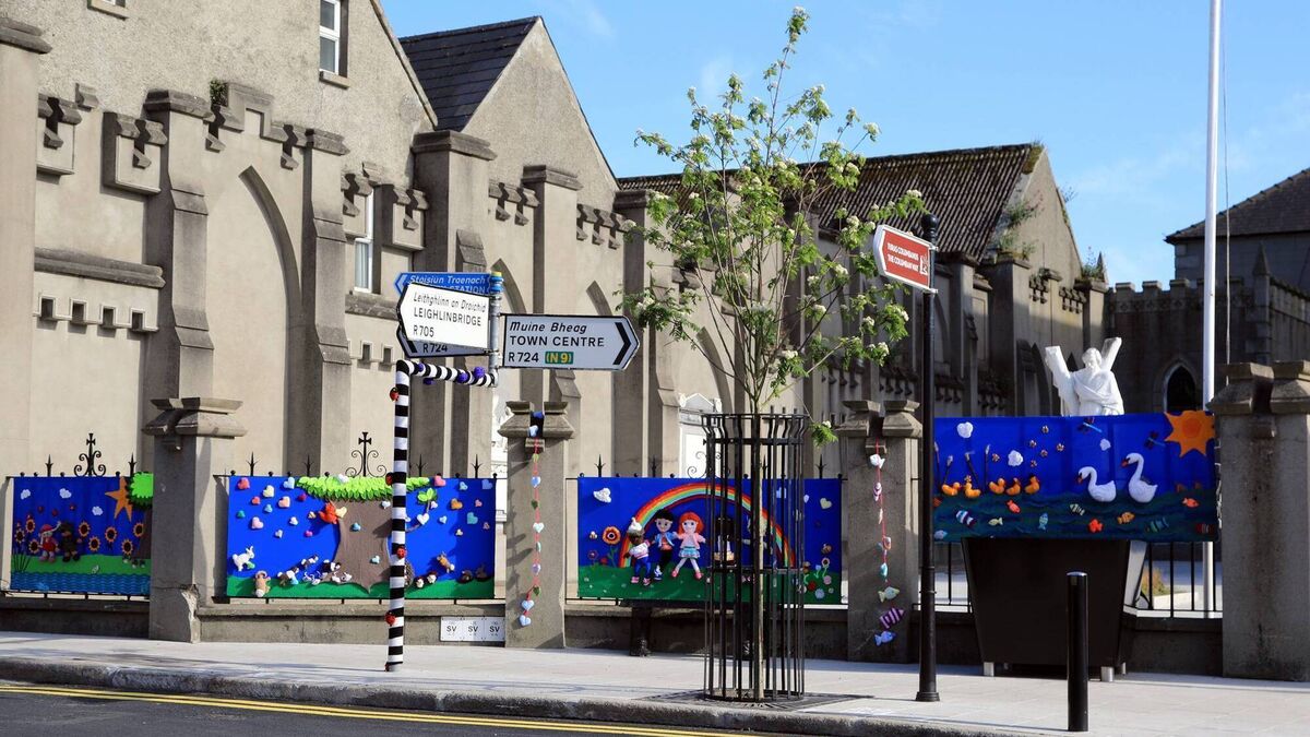 Bagenalstown in Bloom weekend has something for all the family