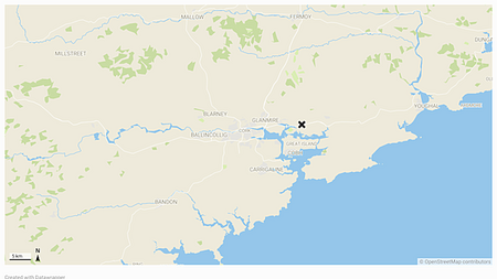 Cyclist (60s) dies after collision with van in Cork