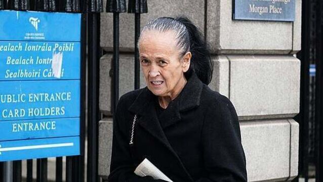 Widow of murder victim ordered to pay €11,000 for care of seized XL Bully dogs