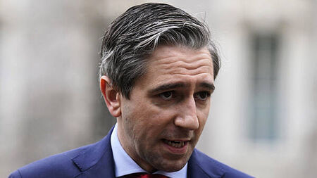 Nursing home documentary should be investigated by gardaí – Tanaiste