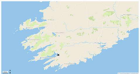 Pedestrian (30s) seriously injured after collision in Cork
