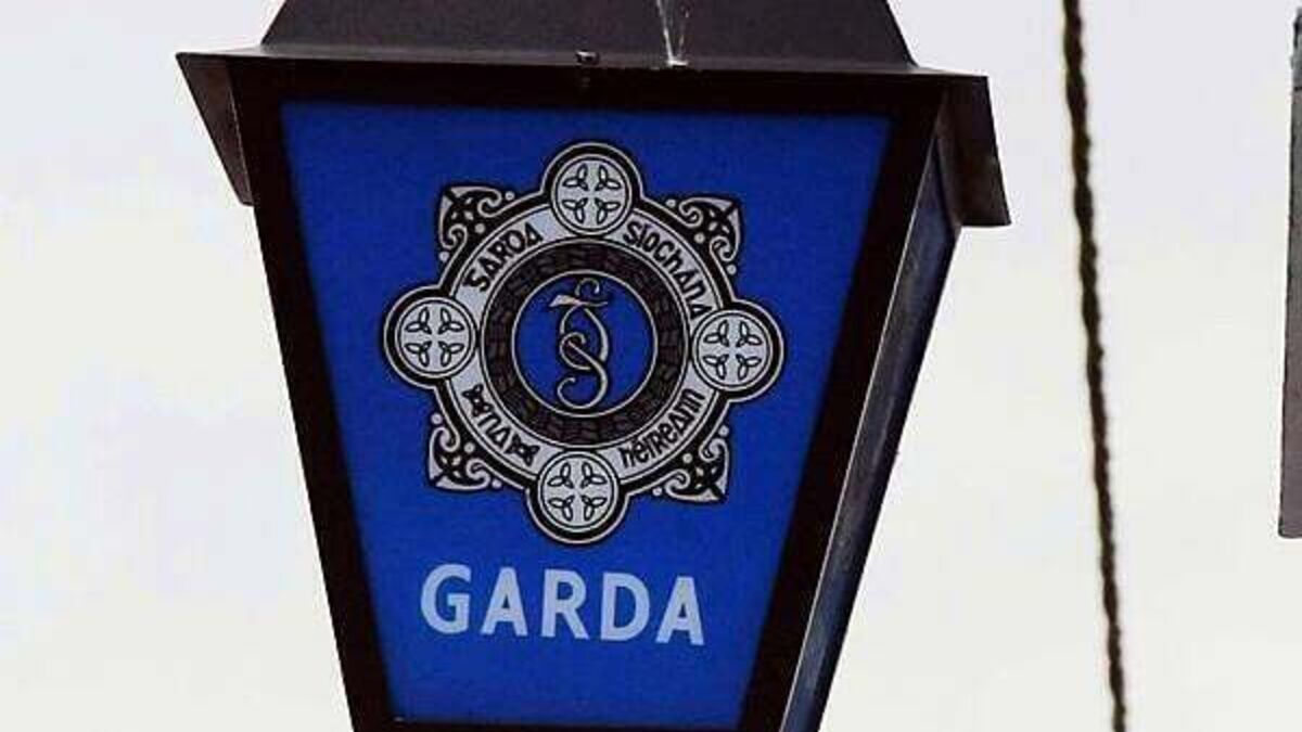 Two men (40s) arrested after burglary incident in Co Wicklow