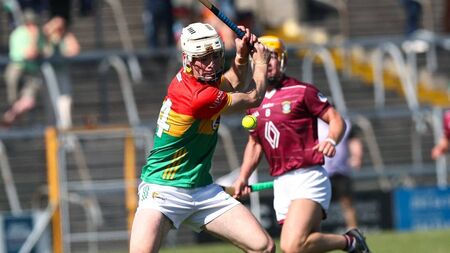 Mouse joins hurling's one thousand club