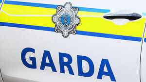 Officers seize cannabis worth almost €3m in Limerick Officers seize cannabis worth almost €3m in Limerick