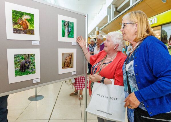 Antoinette Sutton and Ann Duffy admire the photographs on display 