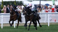 Ethical Diamond gets it right in Duke Of Edinburgh at second time of asking