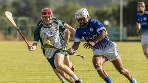 Steep learning curve for Junior Champions