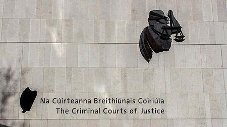 Woman tells jury of moment bloodied nephew told her he had stabbed her partner