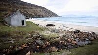 Majority of tourism businesses 'seriously concerned' about impact of Trump policies