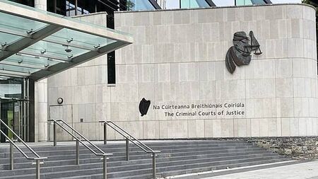 Man (39) told gardaí he stabbed his aunt's partner 'but did not murder him'