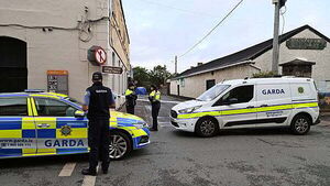 Man arrested over fatal hit-and-run incident in Co Dublin Man arrested over fatal hit-and-run incident in Co Dublin