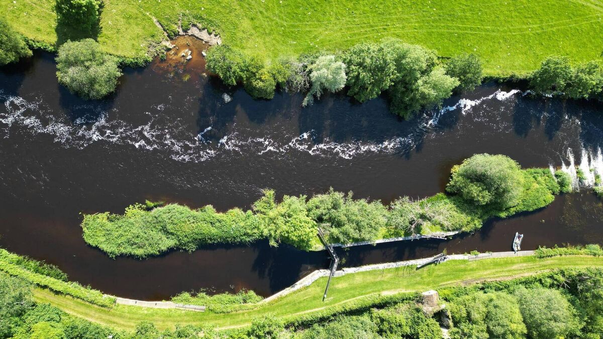 Emergency services to hold major training exercise at River Barrow today