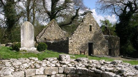 Council backs call for plan to protect St Mullins