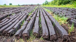 Man refusing to stop extracting peat has no trespass sign with '€100,000 charge' Man refusing to stop extracting peat has no trespass sign with '€100,000 charge'