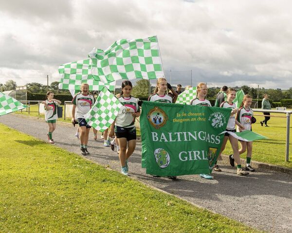 The Baltinglass GFC team that competed at the South East Sevens at Tinryland GFC The Baltinglass GFC team that competed at the South East Sevens at Tinryland GFC