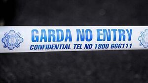 Woman arrested following suspected stabbing of man in Co Kilkenny