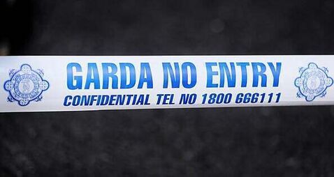 Woman arrested following suspected stabbing of man in Co Kilkenny
