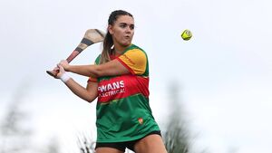 Strong Carlow showing in Puc Fada Laighean