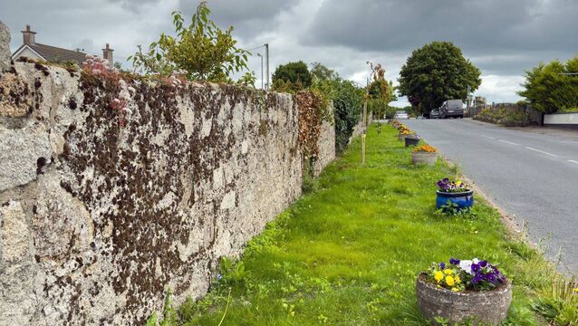 The area outside Temple View housing estate in Ardattin where Japanese knotweed was discovered. Photo: michaelorourkephotography.ie <p>The area outside Temple View housing estate in Ardattin where Japanese knotweed was discovered. Photo: michaelorourkephotography.ie</p>