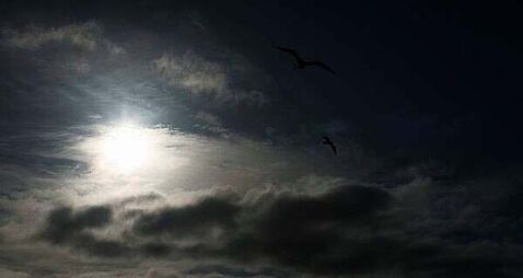 Thunderstorm warning issued for 14 counties