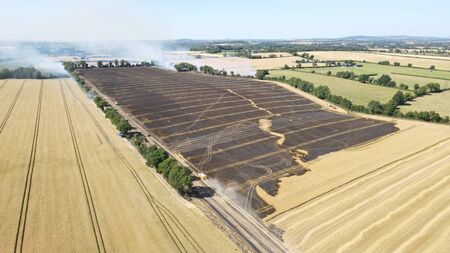 40 firefighters battle blaze in Carlow field