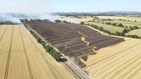 40 firefighters battle blaze in Carlow field