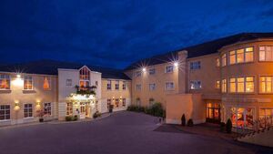 Woman fined for ‘deliberately’ flooding Carlow hotel bedroom