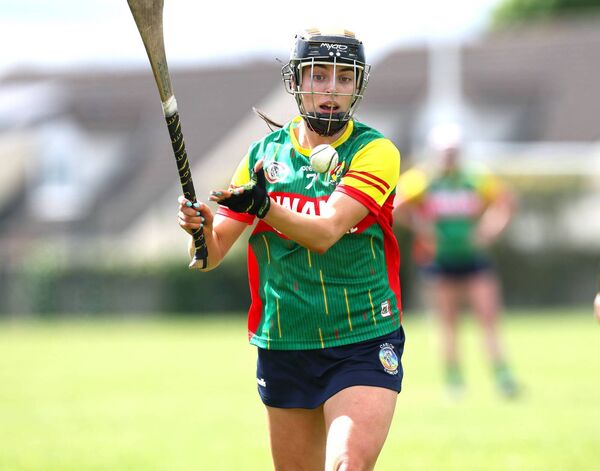 Caomihe Jordan Caomihe Jordan