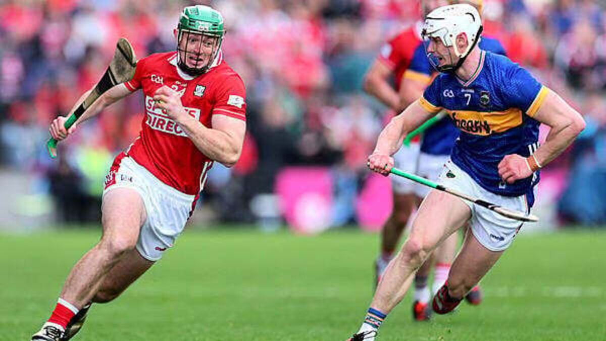 Weekend sport preview: What is on and where to watch?