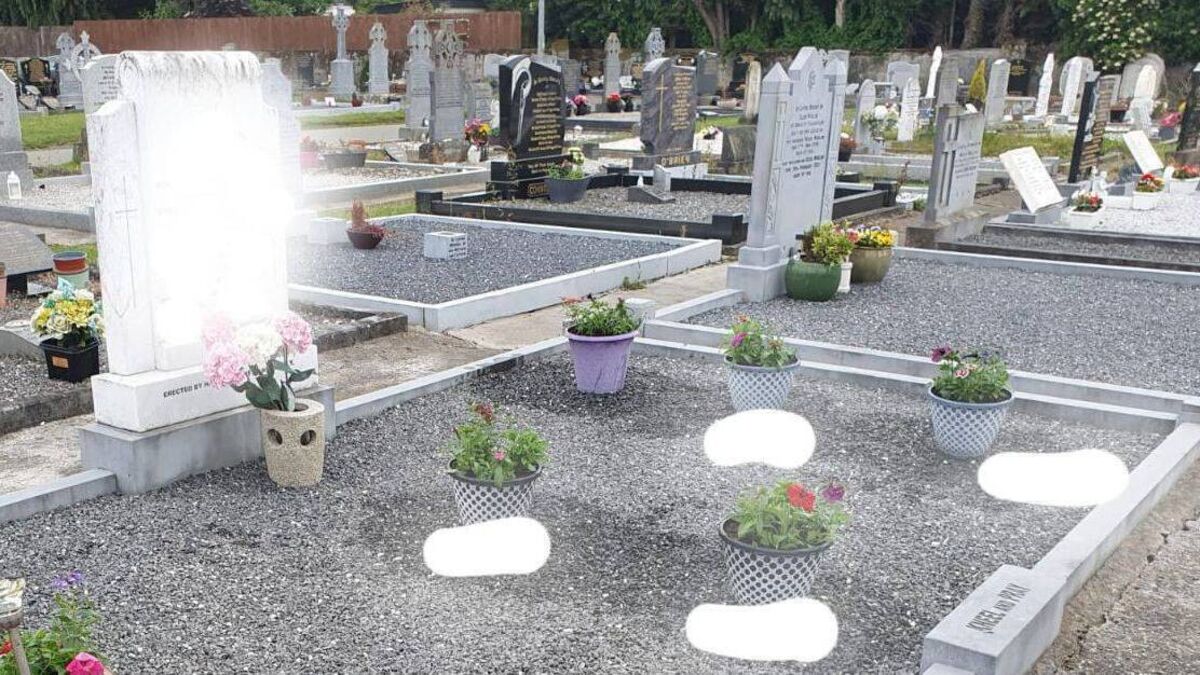 Theft of flowers from cemetery 'lowest of the low'