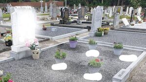 Theft of flowers from cemetery 'lowest of the low'