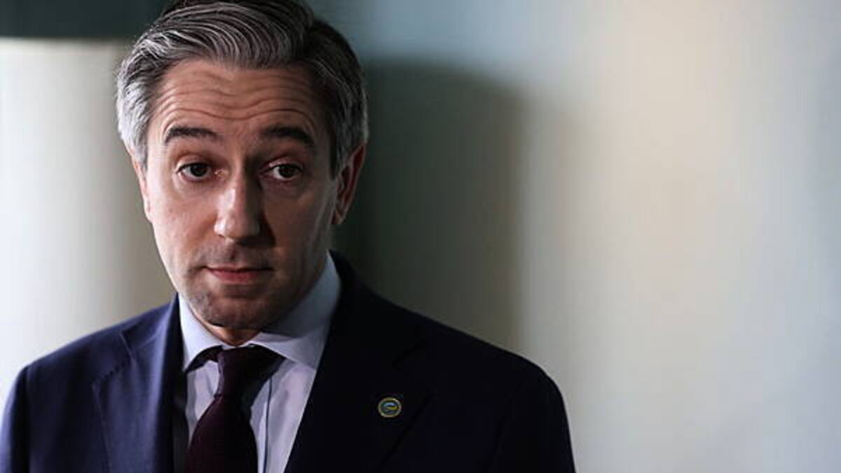 Politics watch: Simon Harris urged to 'think more strategically'
