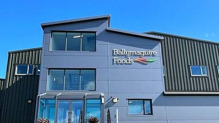 Ballymaguire Foods suspends production at affected facility following listeriosis-linked death