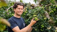 European protected status a ‘game-changer’ for Armagh Bramley apple growers