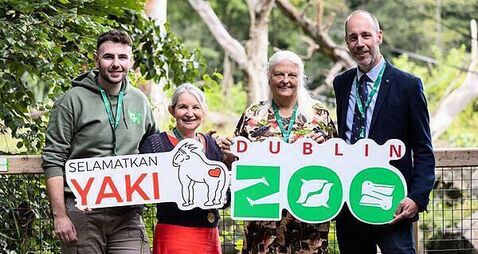 Dublin Zoo Run for Wildlife to become annual event in aid of threatened species