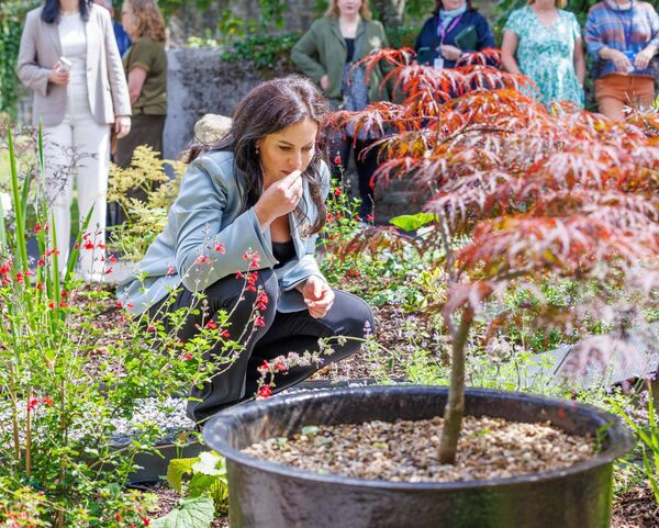 Minister Carroll MacNeill smells the fresh flowers during her visit to the newly-transformed Woodlands Garden Minister Carroll MacNeill smells the fresh flowers during her visit to the newly-transformed Woodlands Garden