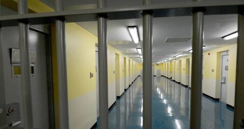 Brothers who went on Christmas crime spree get their sentences reduced 