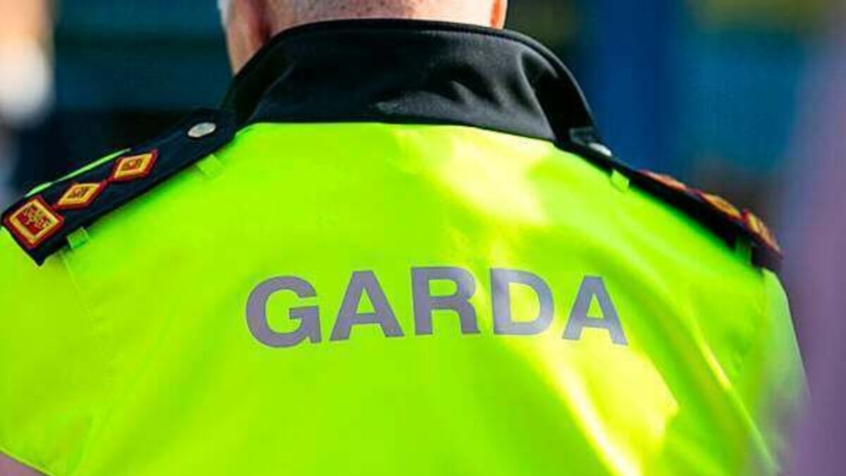 'Concerning' misinformation online after attack on garda, says assistant Commissioner