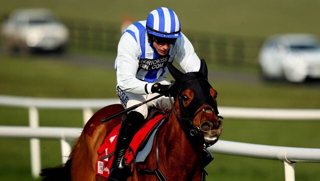 <p>Gaucher is one of five runners for Willie Mullins in today's Galway Hurdle Photo: ©INPHO/Ryan Byrne</p>