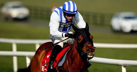 Busy day for Mullins at Galway