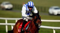 Busy day for Mullins at Galway