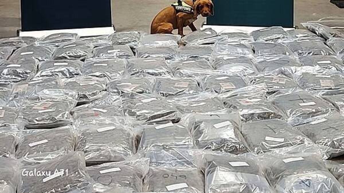 Man (50s) charged following seizure of cannabis worth €2.1 million