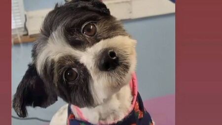 Dotsy charms her way into final 32 of the Nose of Tralee contest