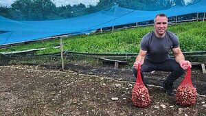 Irish escargots farmer had snail beer produced from snails on his farm Irish escargots farmer had snail beer produced from snails on his farm