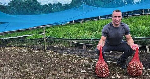 Irish escargots farmer had snail beer produced from snails on his farm