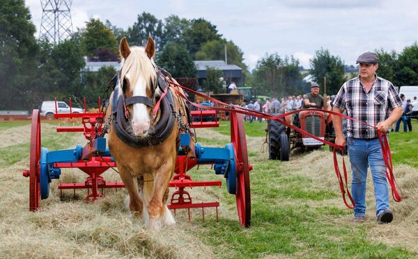 Trevor Kelly with his horse Paddy turns the hay Trevor Kelly with his horse Paddy turns the hay