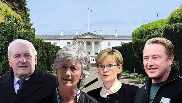 Explained: What powers does the President of Ireland have?