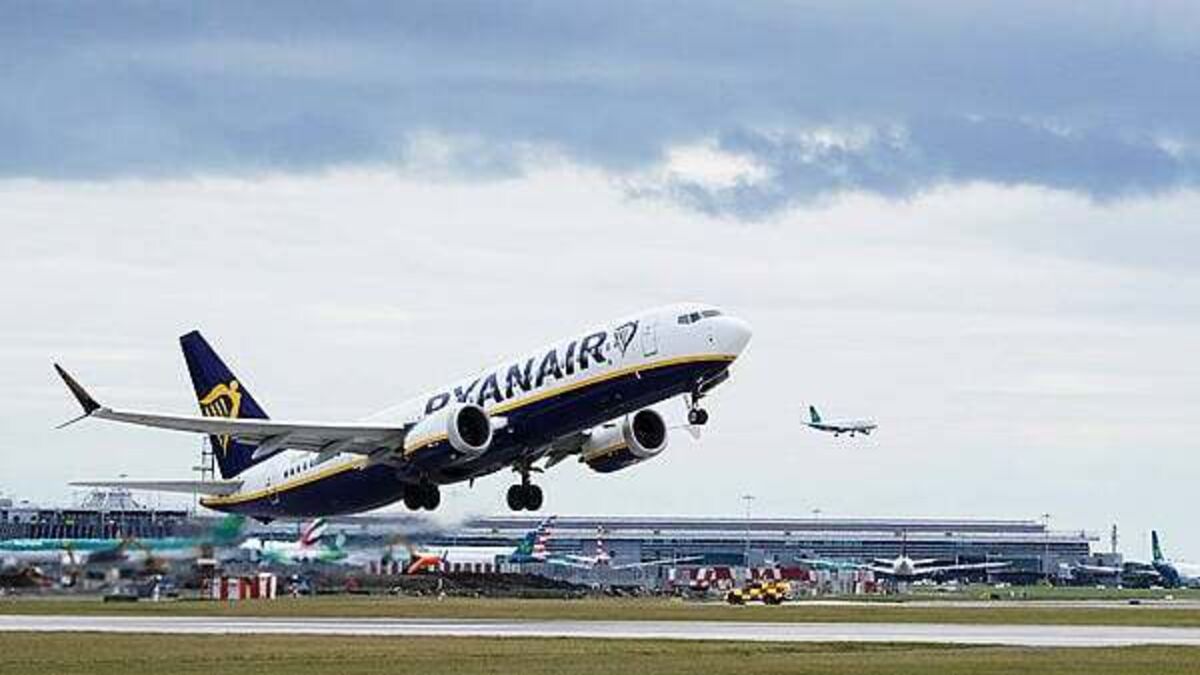 Dublin Airport flights suffer 278 bird strikes despite €600,000 spent on ‘scaring’ measures
